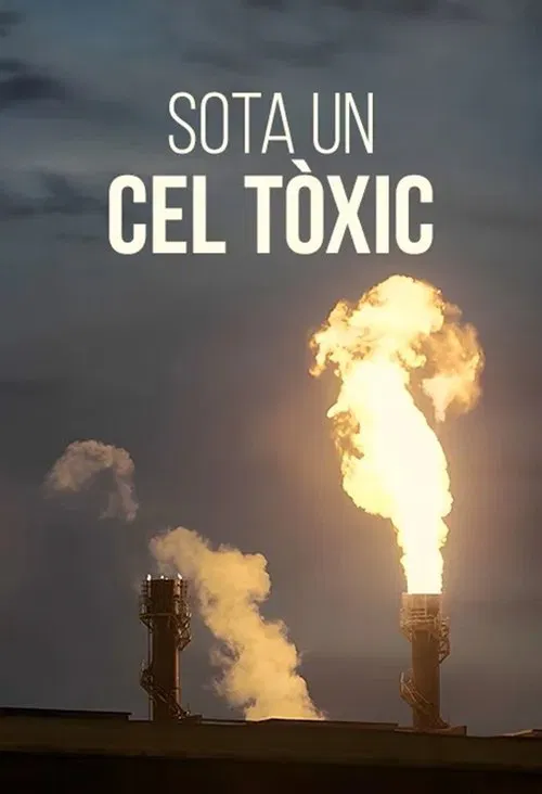Der giftige Himmel von Tarent: Chronik einer geduldeten Umwelt-Katastrophe movie poster