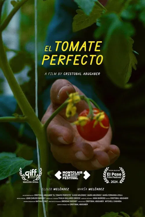 The Perfect Tomato movie poster