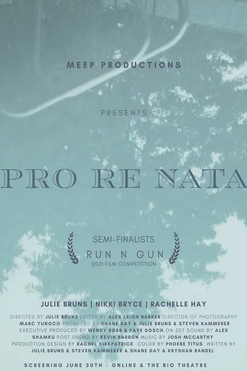 Pro Re Nata movie poster