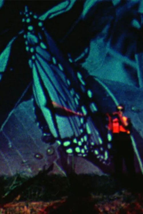 Poster do filme Butterfly Disaster