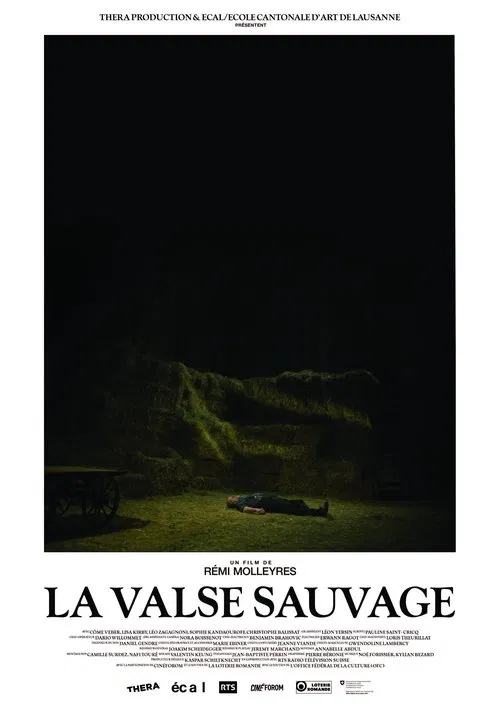 Poster do filme La Valse sauvage