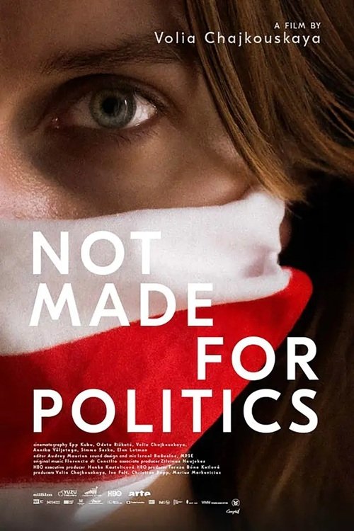 Not Made for Politics movie poster