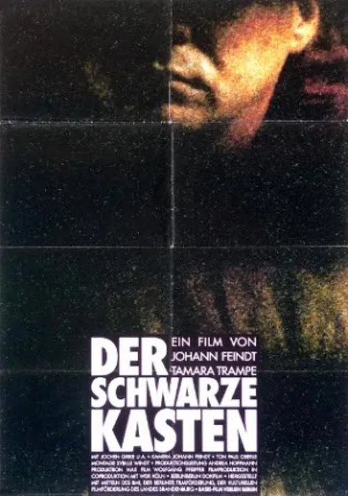 Poster do filme Der schwarze Kasten