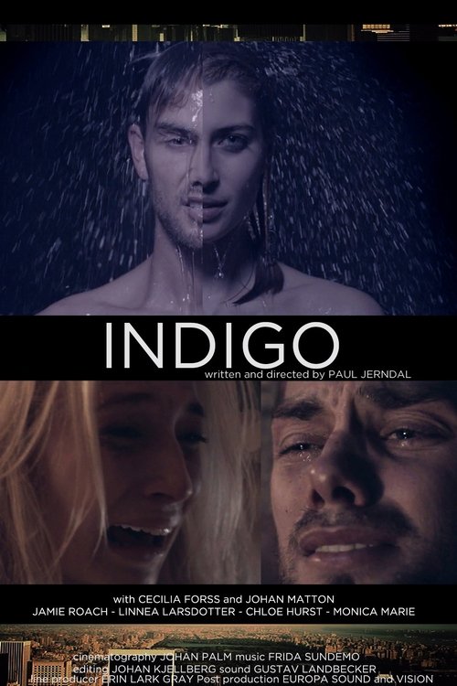 Indigo movie poster