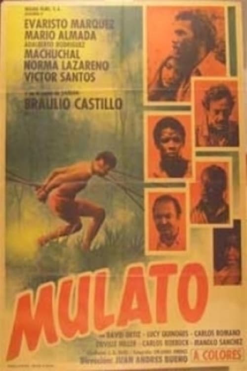 Mulato movie poster