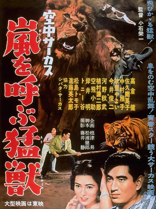 Midair Circus movie poster