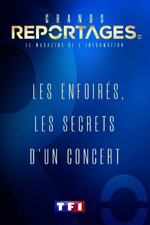 Les Enfoirés, les secrets d'un concert movie poster