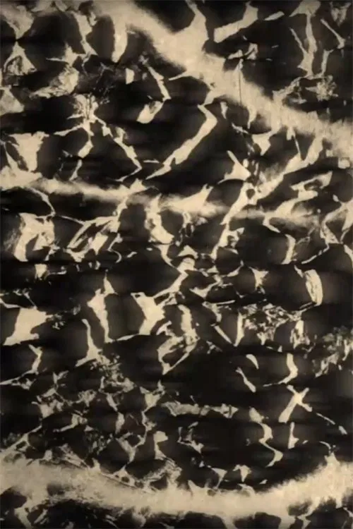 Refractions movie poster