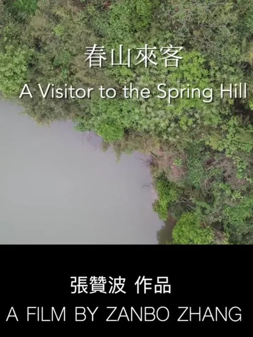 A Visitor to the Spring Hill movie poster