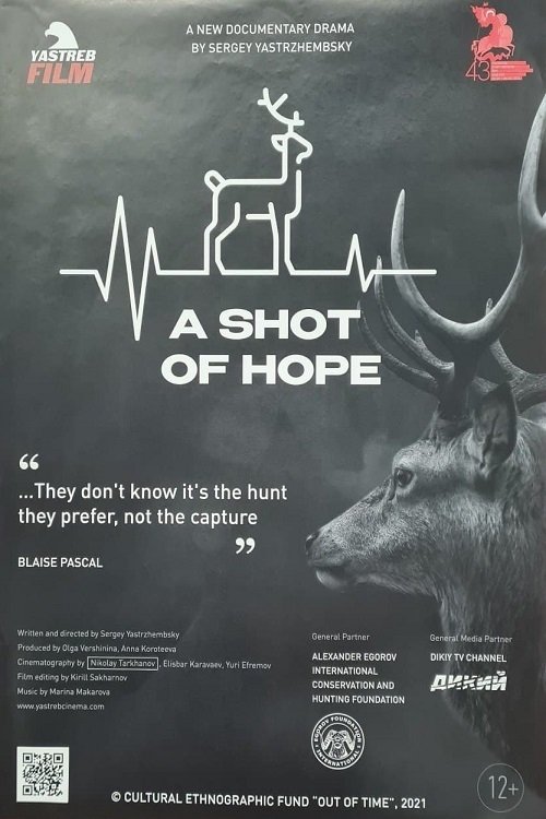 A Shot of Hope movie poster
