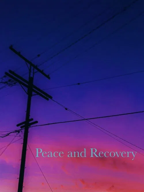 Peace and Recovery movie poster
