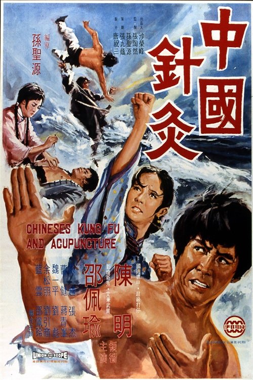 Chinese Kung Fu and Acupuncture movie poster