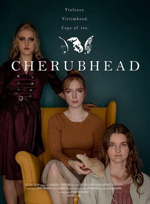 Poster do filme Cherubhead
