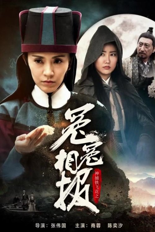 神捕铁飞花之冤冤相报 movie poster