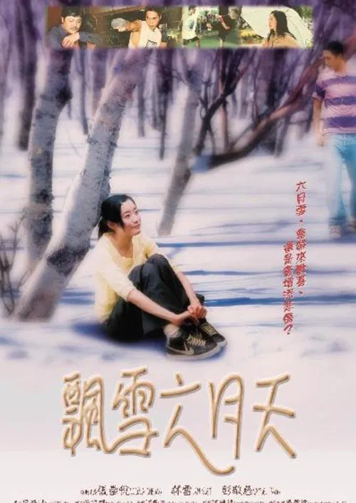 Poster do filme Snow Falling From the Sky of June