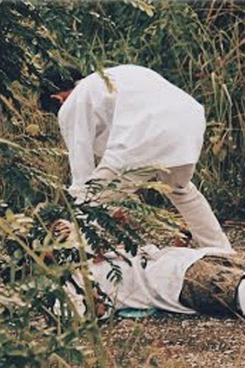 Langkah movie poster