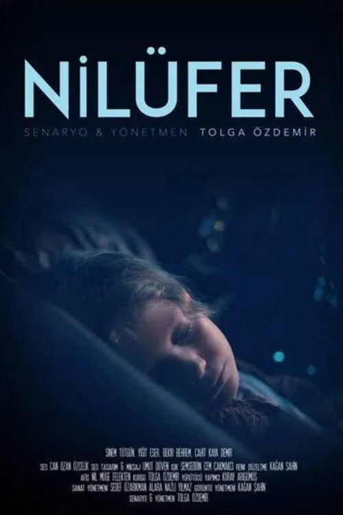 Nilüfer movie poster