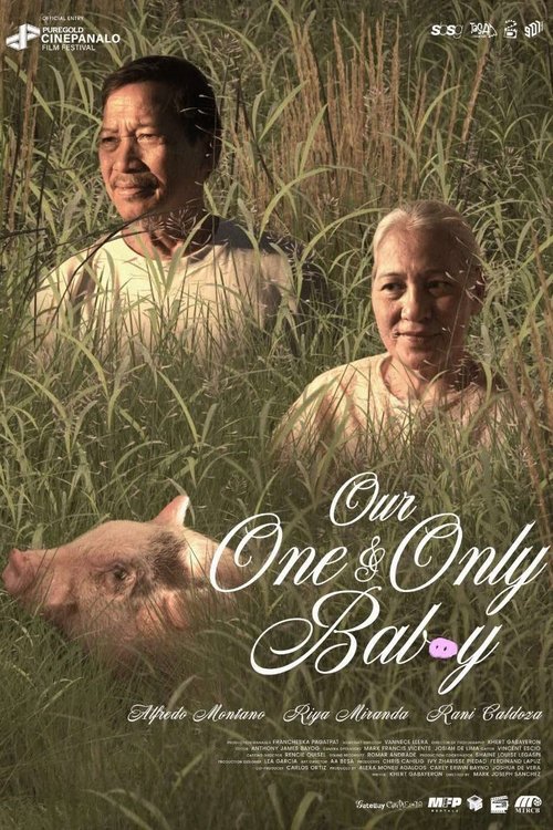 Our One and Only Bab(o)y movie poster
