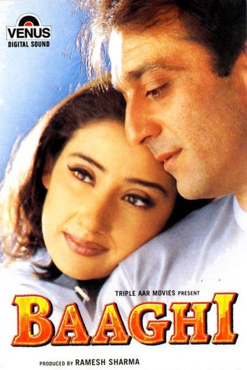 Poster do filme Baaghi
