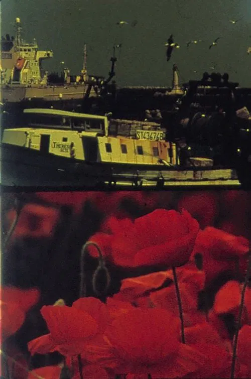 Poppies and Sailboats movie poster