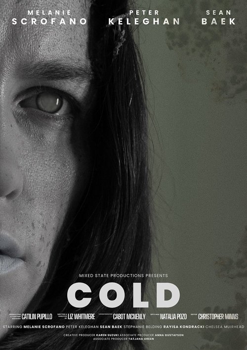 COLD movie poster