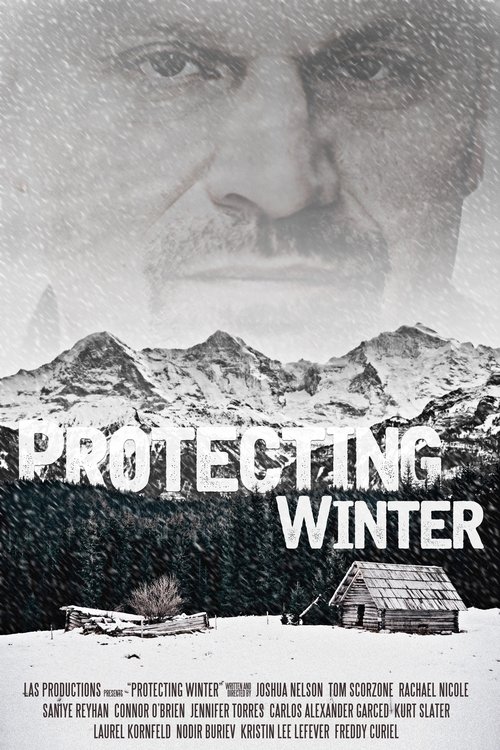 Protecting Winter movie poster