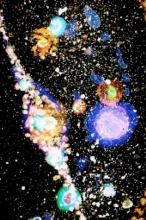 Han (on the sun) movie poster