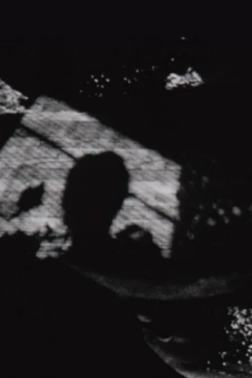 Life/Expectancy movie poster