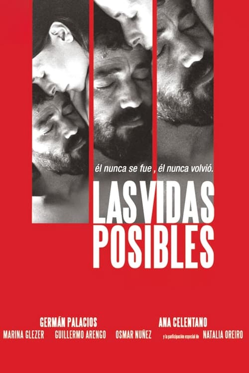 Possible Lives movie poster