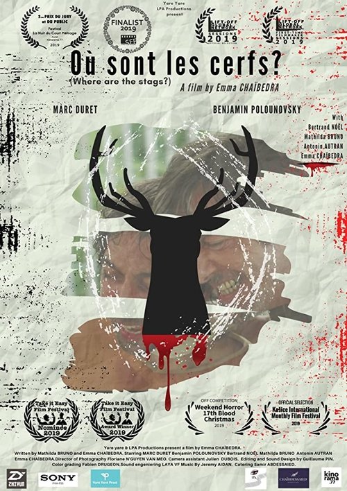 Où sont les Cerfs ? movie poster