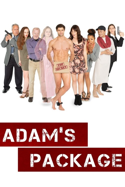 Poster do filme Adam's Package