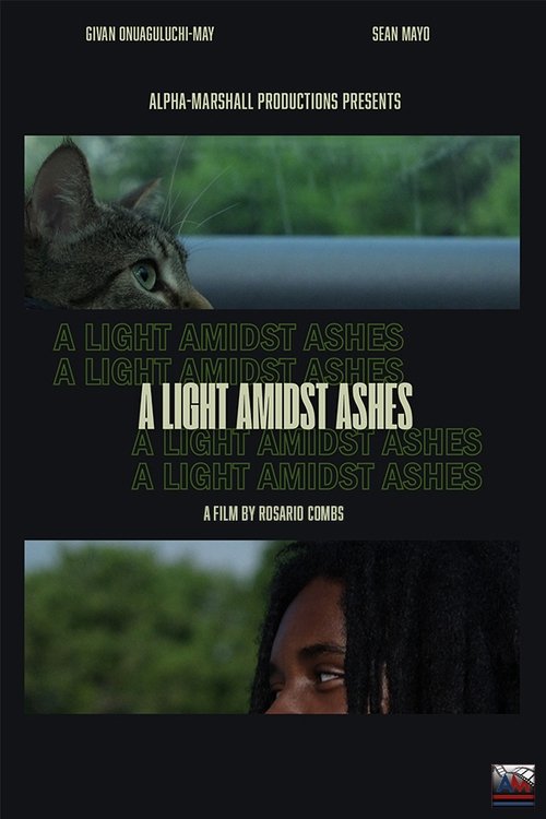 A Light Amidst Ashes movie poster