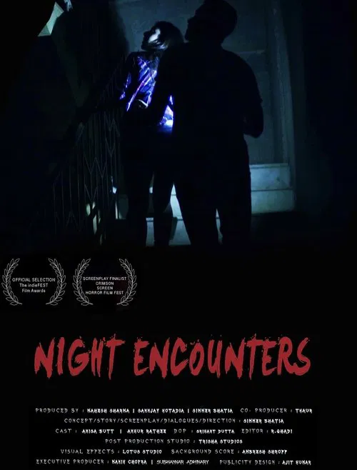 Night Encounters movie poster