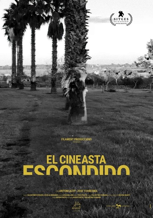 The Hidden Filmmaker movie poster