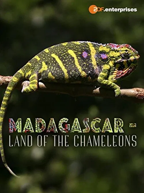Poster do filme Madagascar: Land of the Chameleons