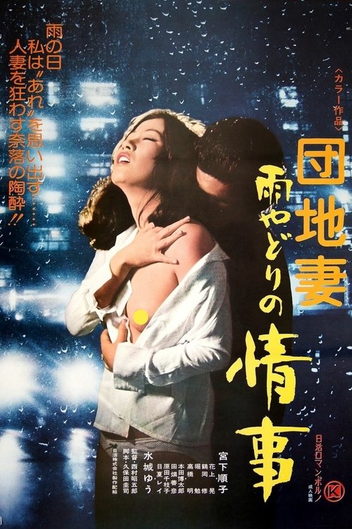 Apartment Wife: Rainy Day Affair movie poster