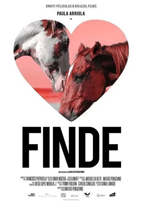 Finde movie poster