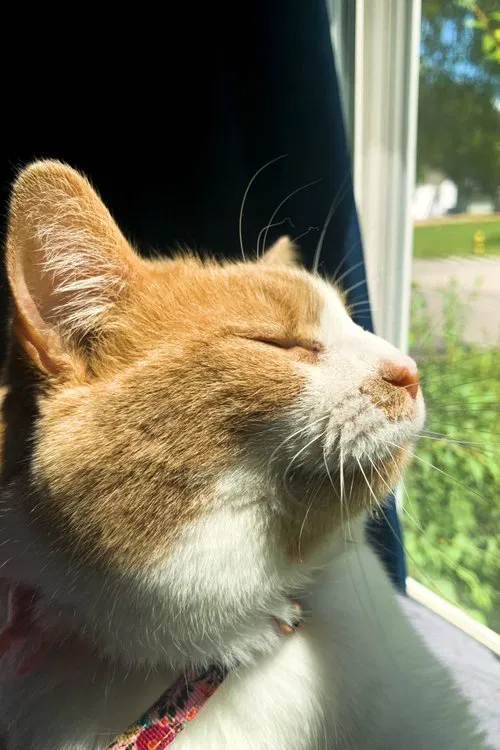 Foto de perfil de Cheyenne Childers