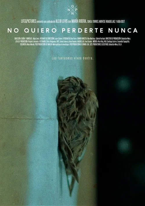 No quiero perderte nunca movie poster
