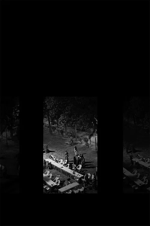 The Frog is the Pond's Witness movie poster