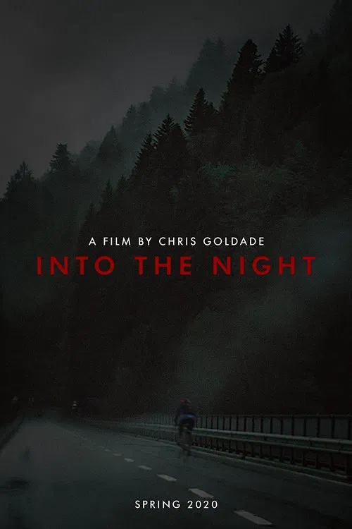 Poster do filme Into The Night