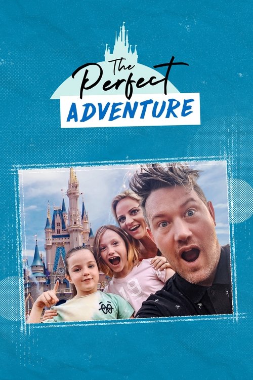 The Perfect Adventure movie poster