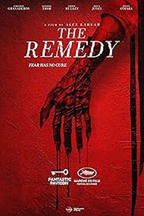 The Remedy movie poster