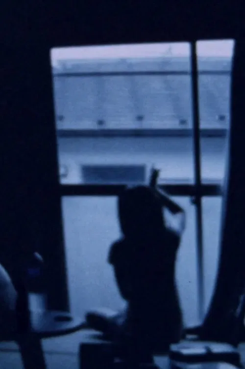 Poster do filme Elephant Died