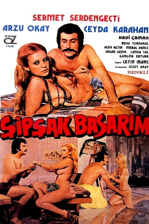 Şipşak Basarım movie poster