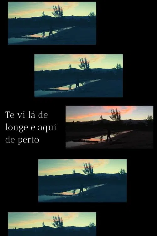 Te vi lá de longe e aqui de perto movie poster
