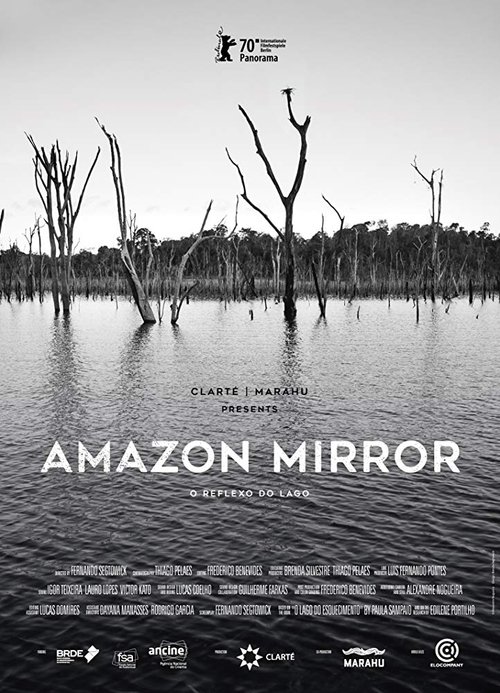 Amazon Mirror movie poster