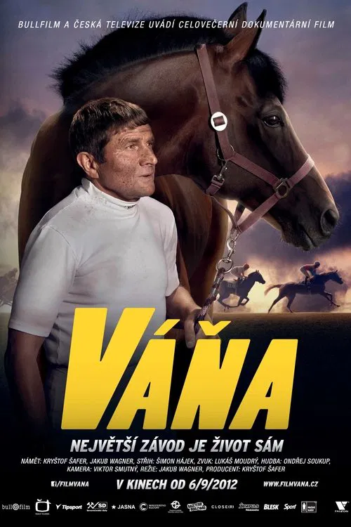 Váňa movie poster