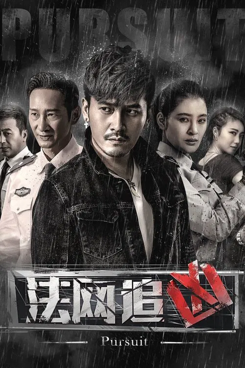 法网追凶 tv show poster