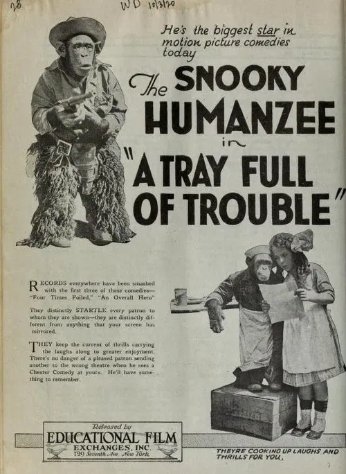 Poster do filme A Tray Full of Trouble